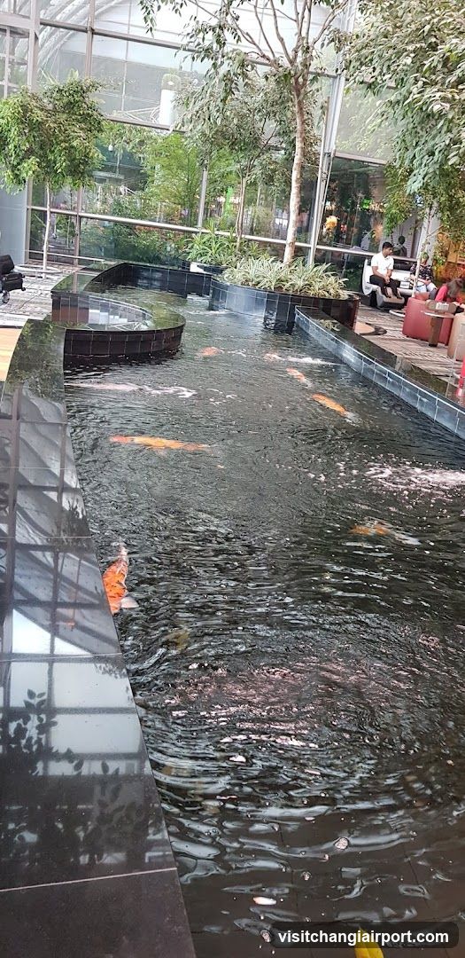 Indoor Koi Pond with Glass Enclosure