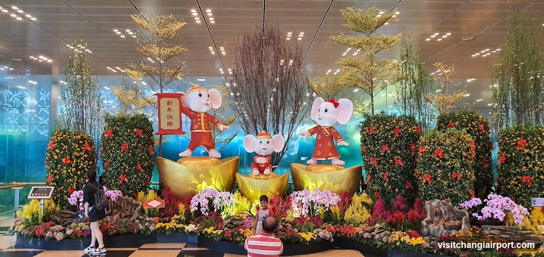 Chinese New Year Flower Display