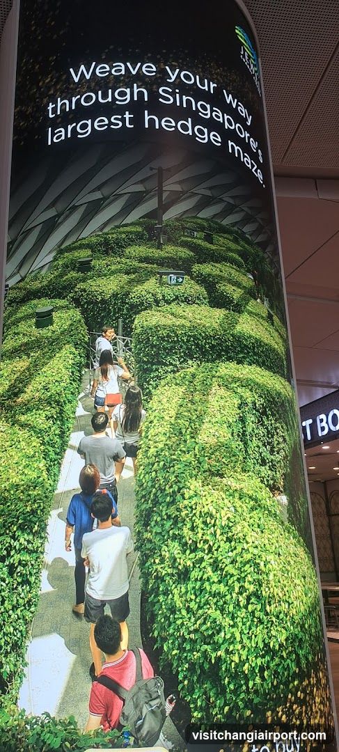Singapore's Largest Hedge Maze Advertisement