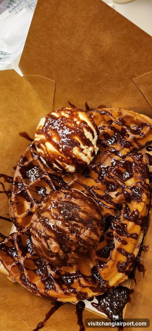 Chocolate Waffle with Ice Cream