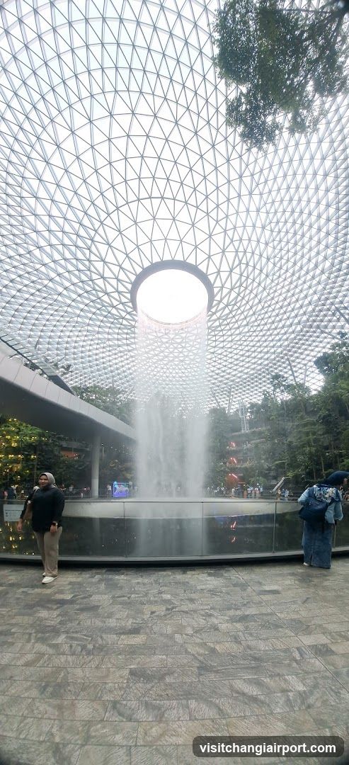 Cloud Forest Waterfall