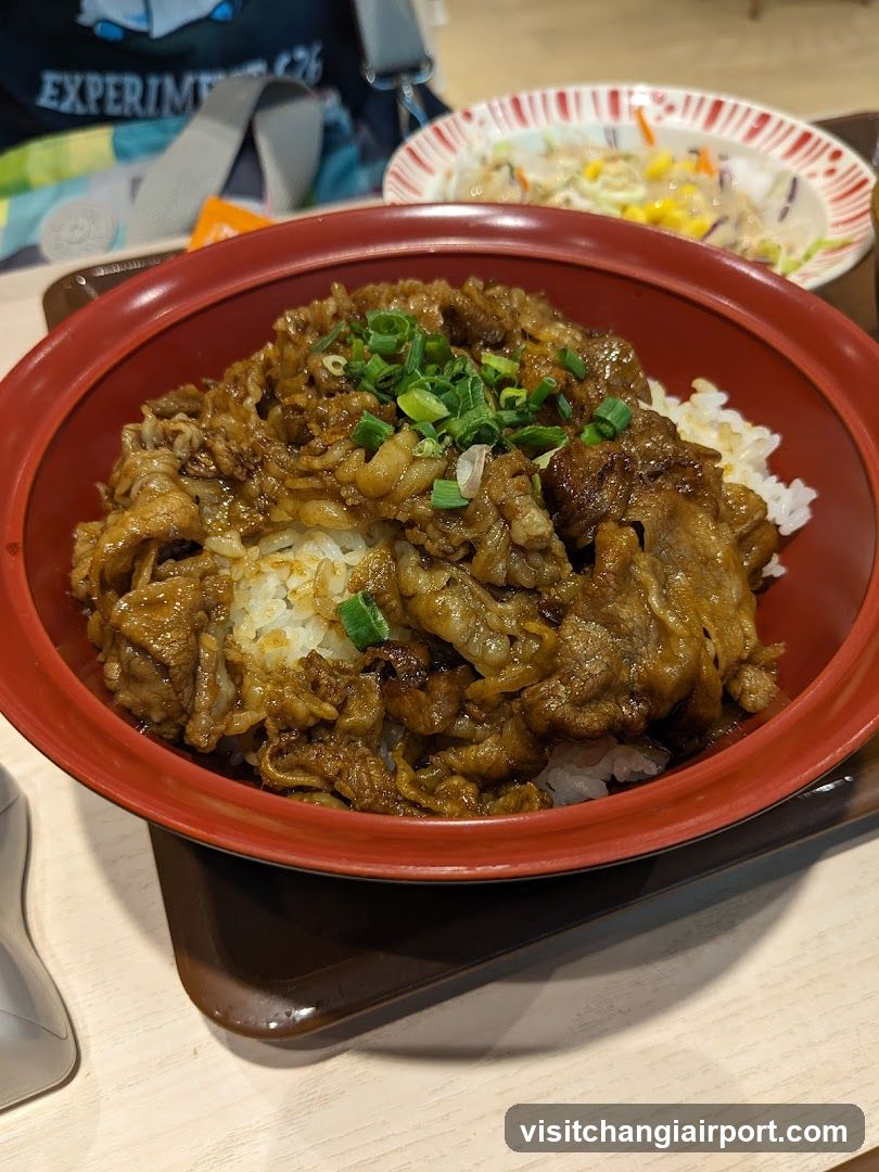 Bowl of Beef Rice with Green Onions
