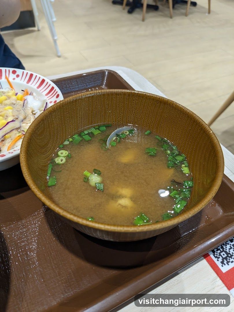 Bowl of Soup with Green Onions