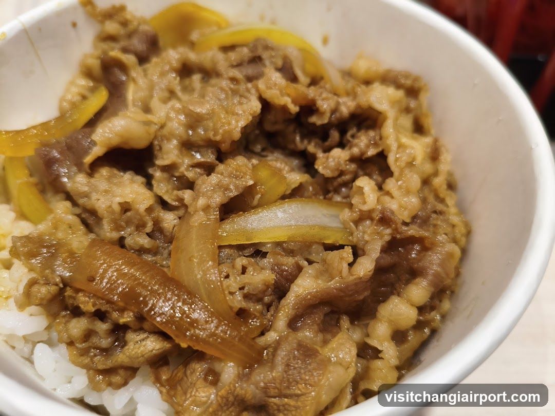 Beef Bowl with Onions