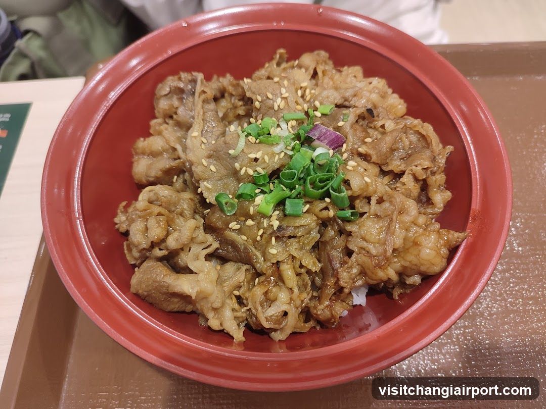 Bowl of Beef Rice with Green Onions and Sesame Seeds