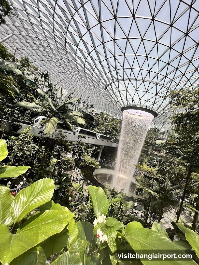 Indoor Waterfall Garden