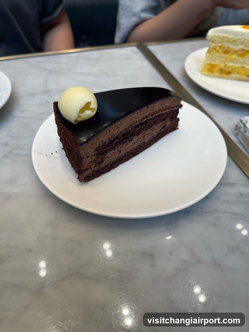 Chocolate Cake Slice
