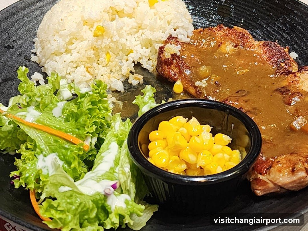 Pork Chop with Rice and Salad