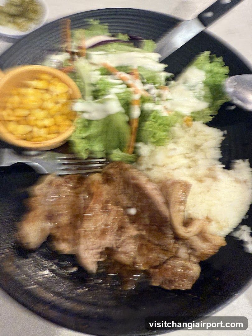 Plate of Food with Salad and Meat