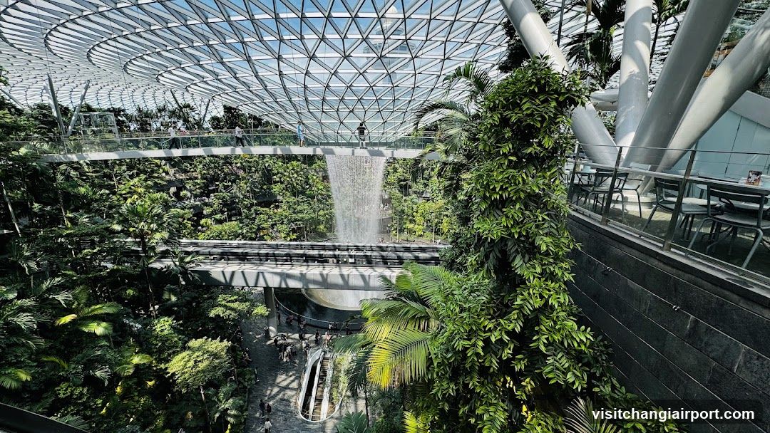 Cloud Forest Interior