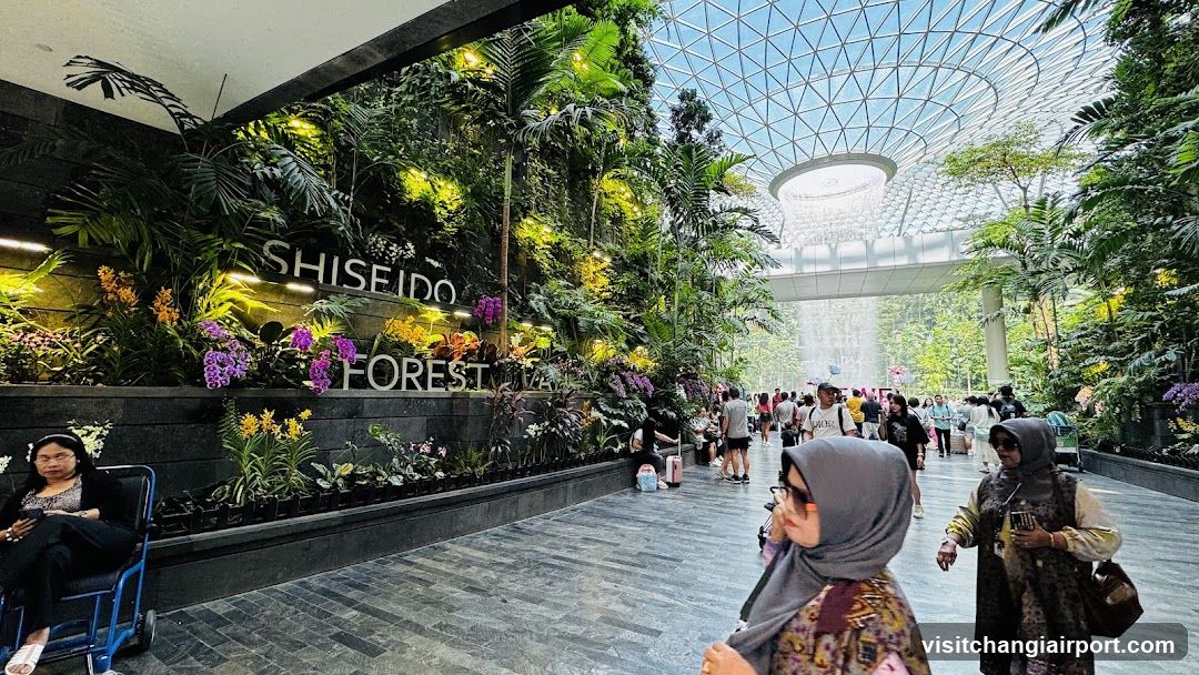 Shiseido Forest Interior View