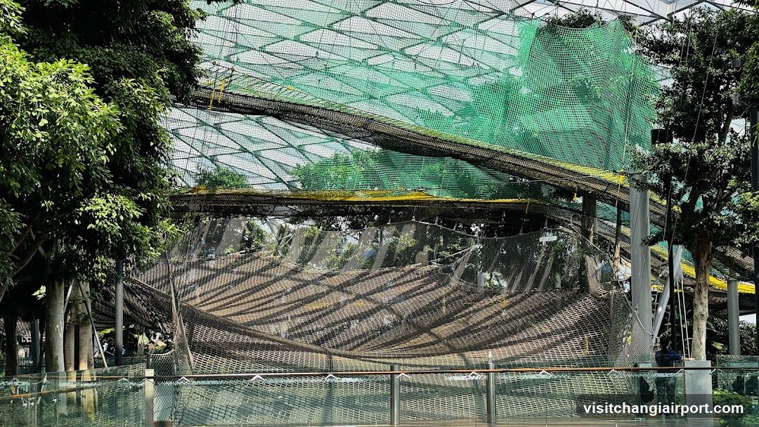 Indoor Garden Structure