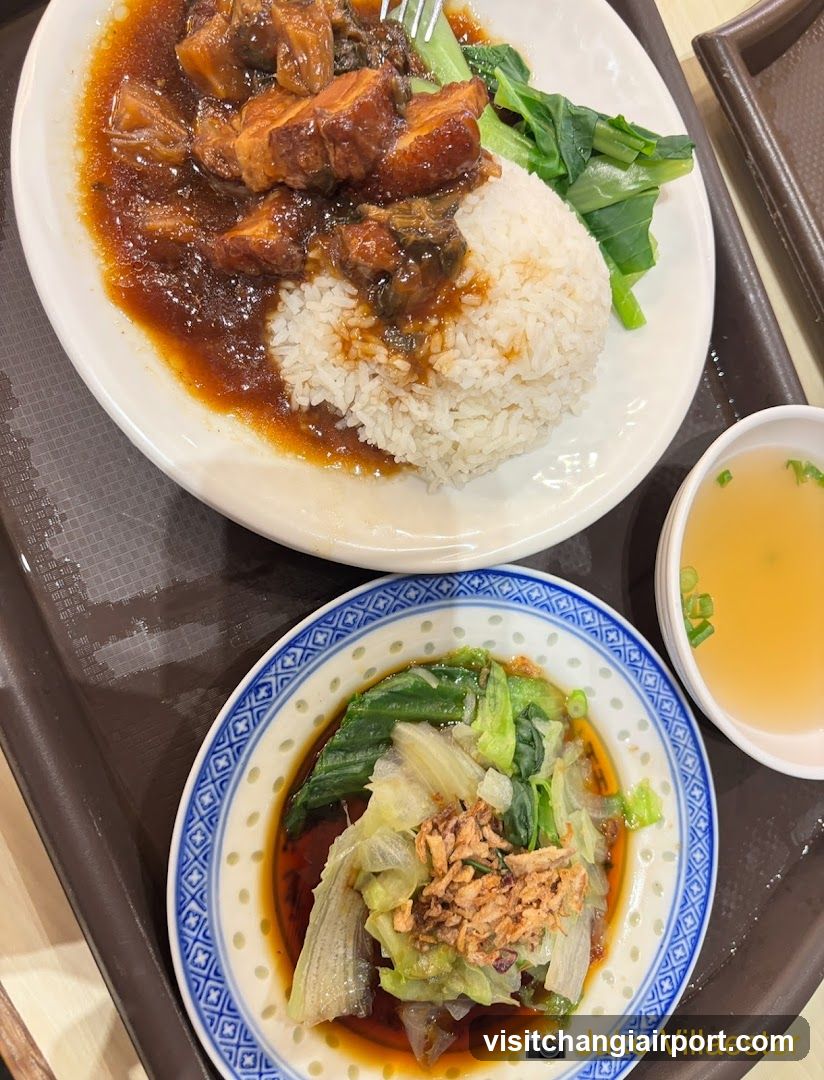 Food Tray with Braised Meat Rice and Side Dishes