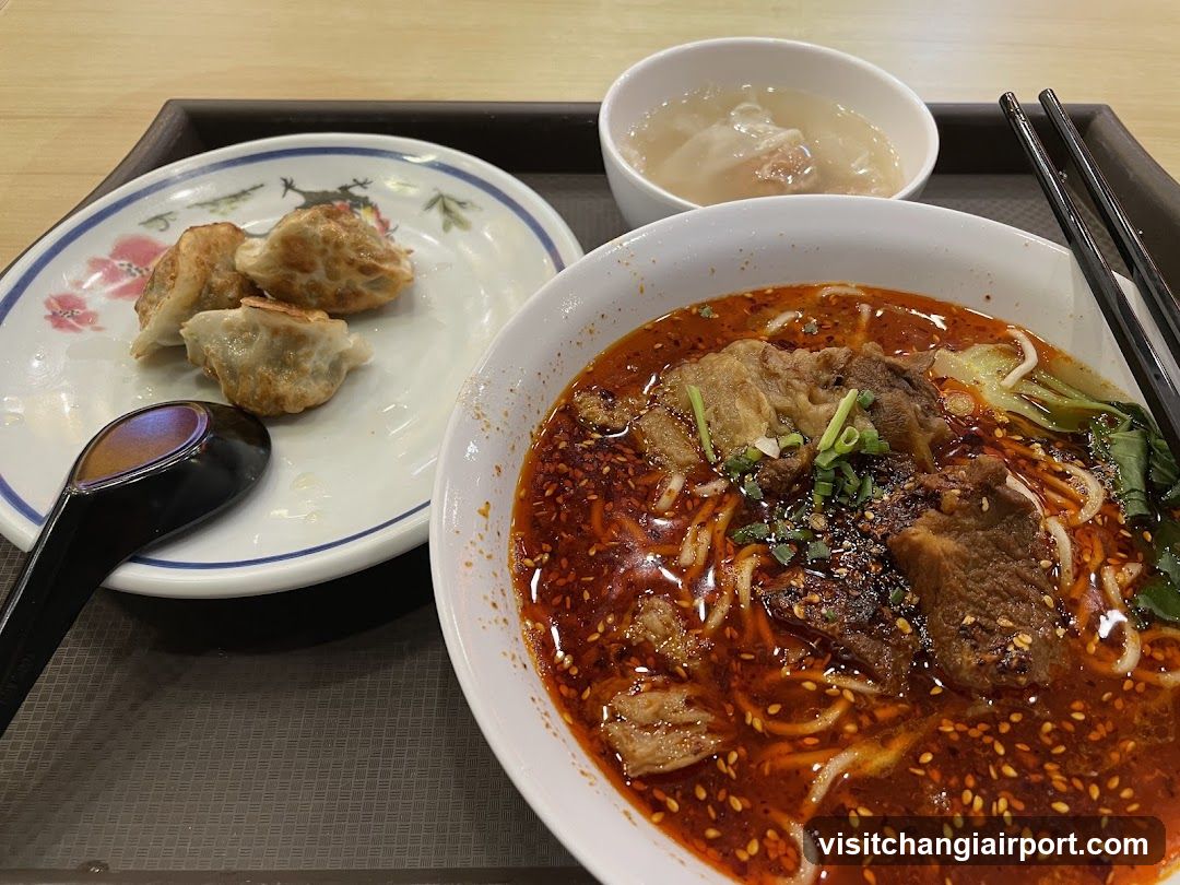 Spicy Noodle Meal with Dumplings