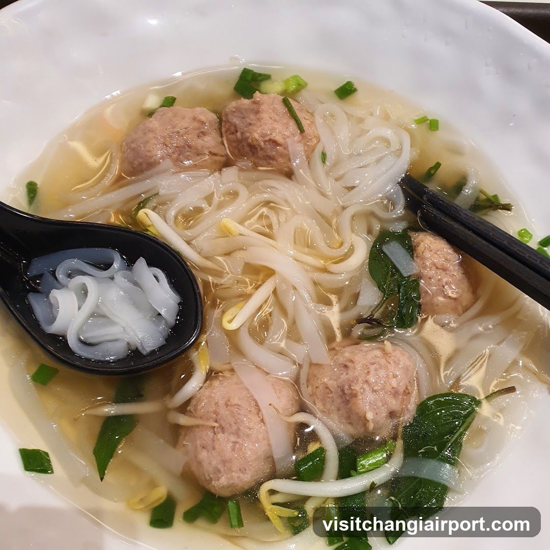 Noodle Soup with Meatballs
