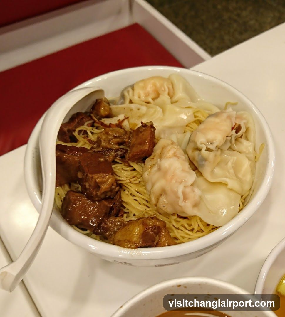 Noodle Bowl with Dumplings and Braised Pork