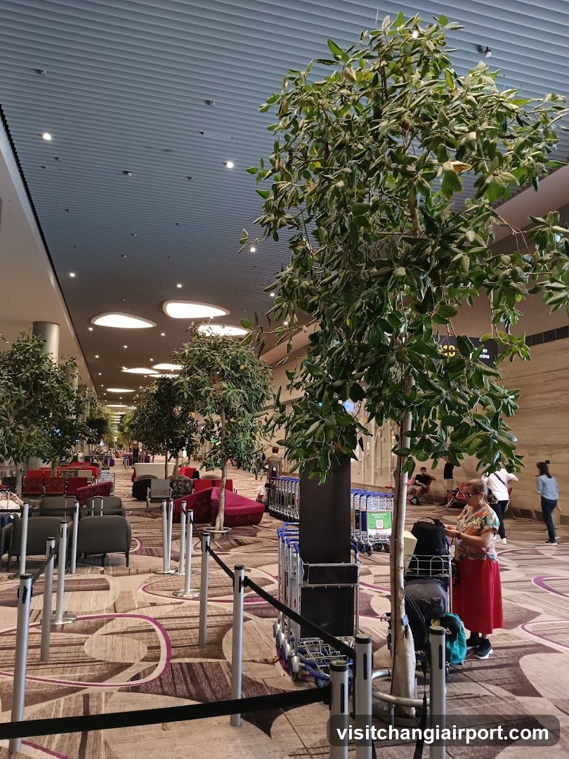 Airport Terminal Interior
