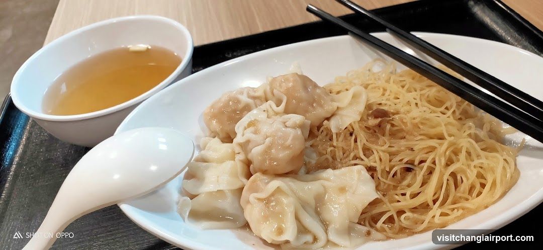 Dumpling and Noodle Meal