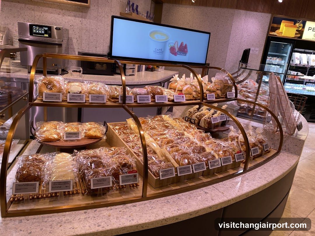 Bakery Display Counter