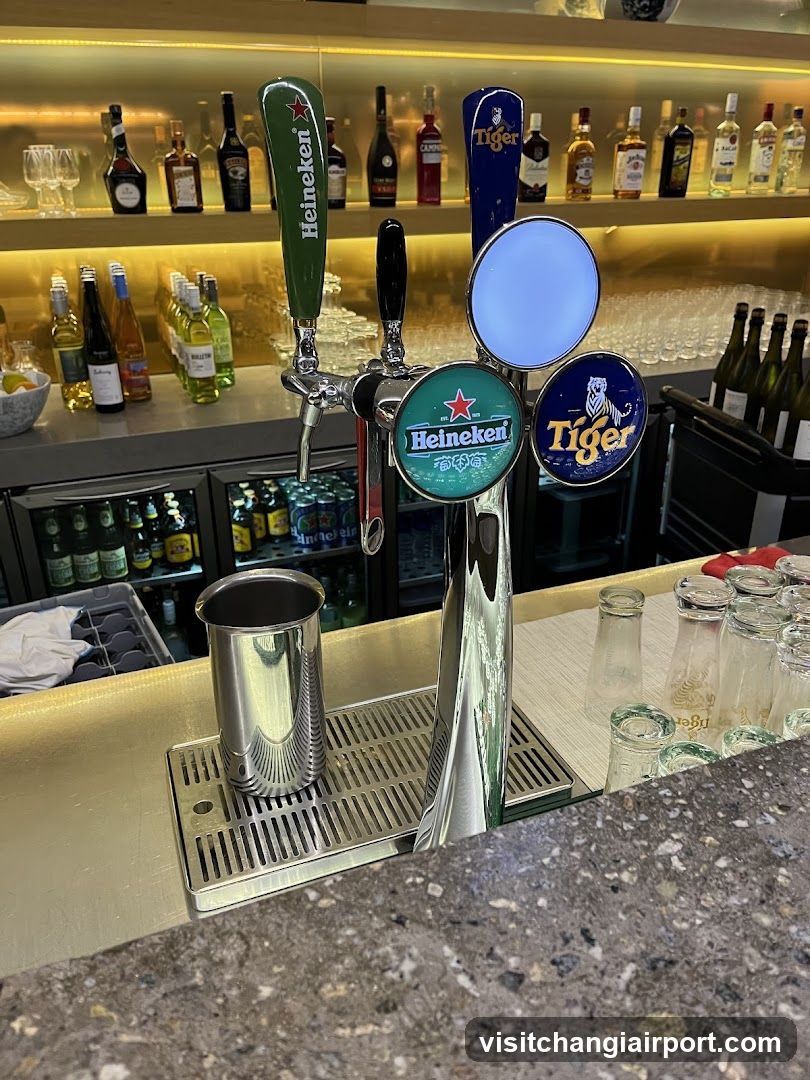 Bar Interior with Beer Taps