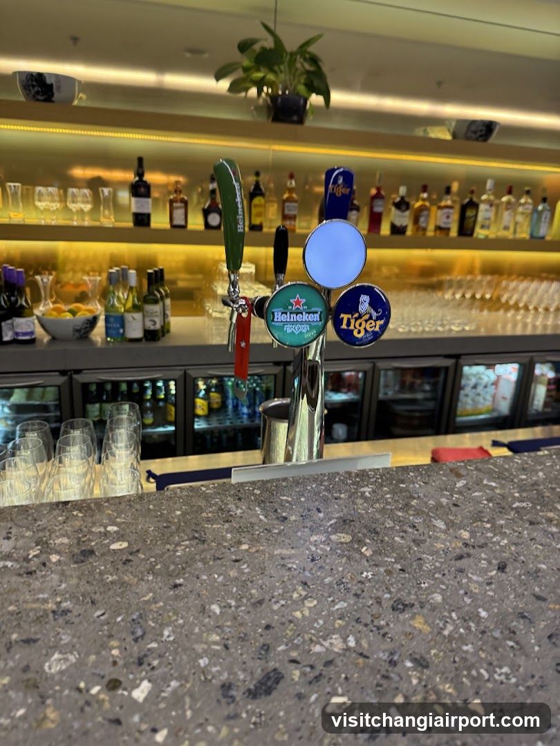 Bar Interior with Beer Taps and Bottles