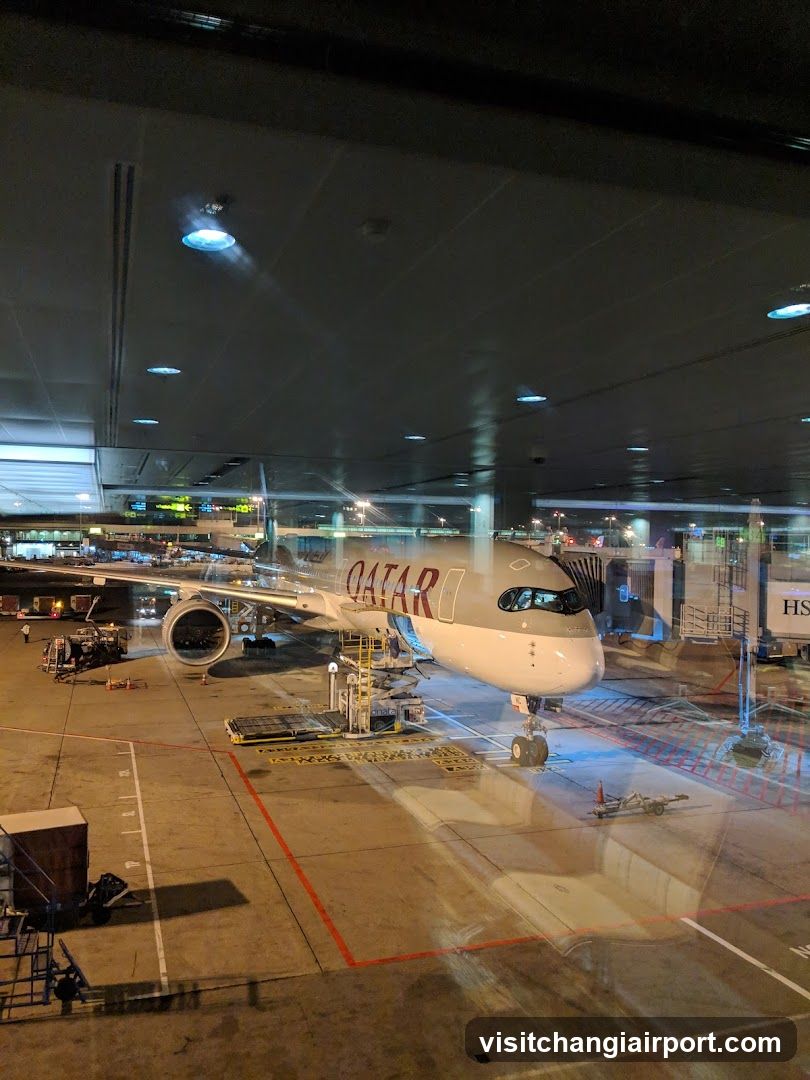 Qatar Airways Aircraft at Airport Terminal