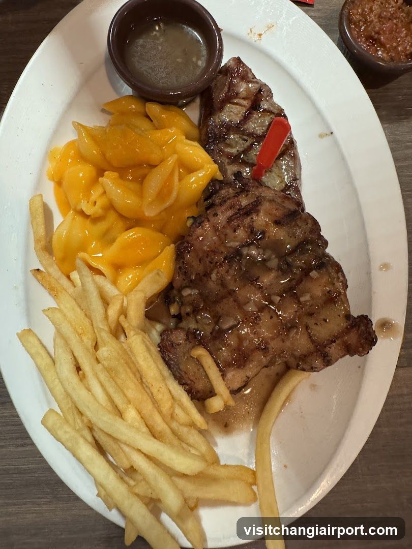 Andes by Astons @ Changi Airport T1