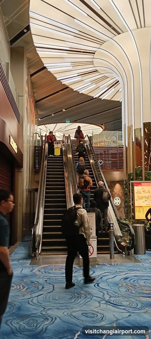 Interior of a modern building with escalators and patterned carpet