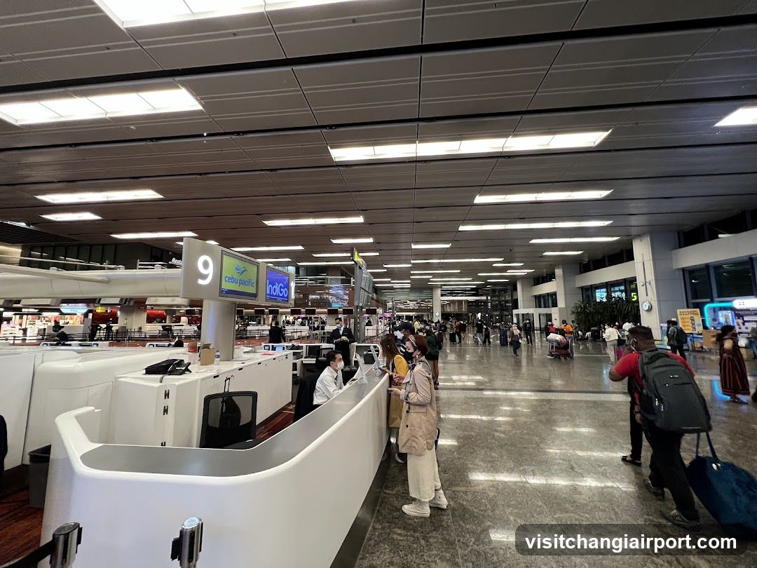 Airport Check-in Hall