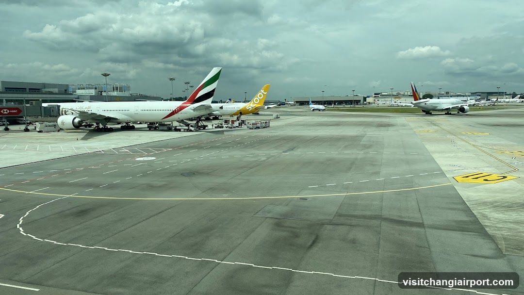 Airport Tarmac View
