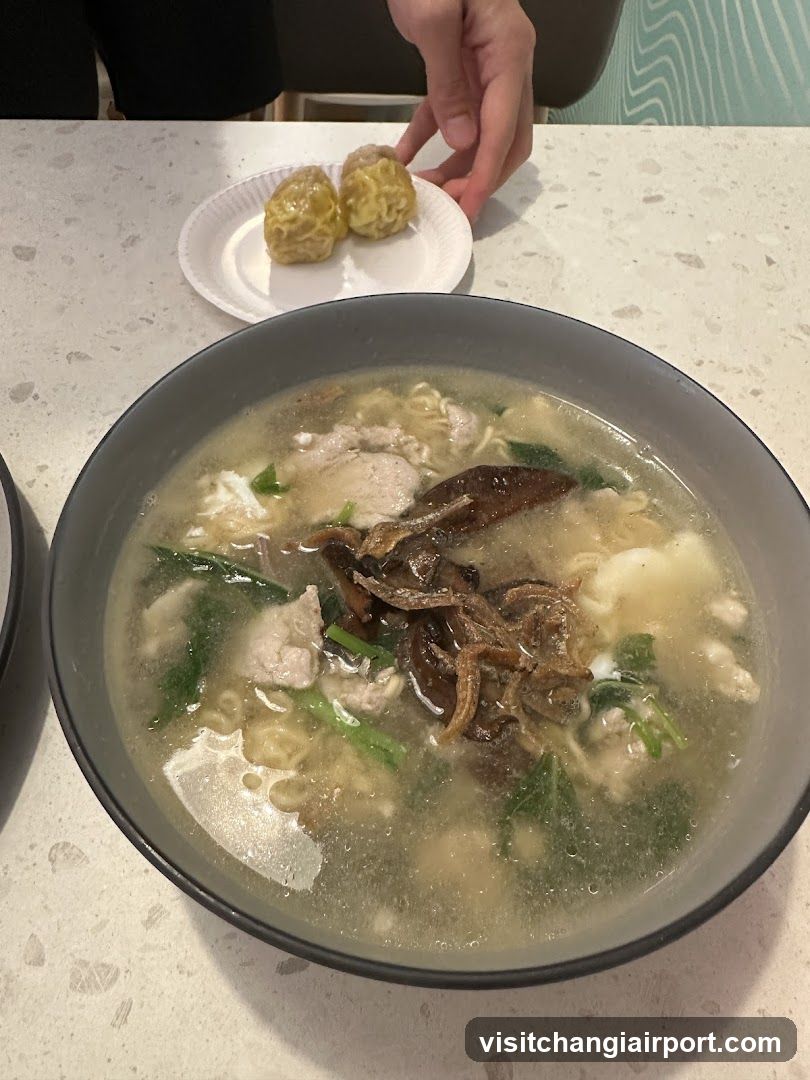 Bowl of Noodle Soup with Dumplings