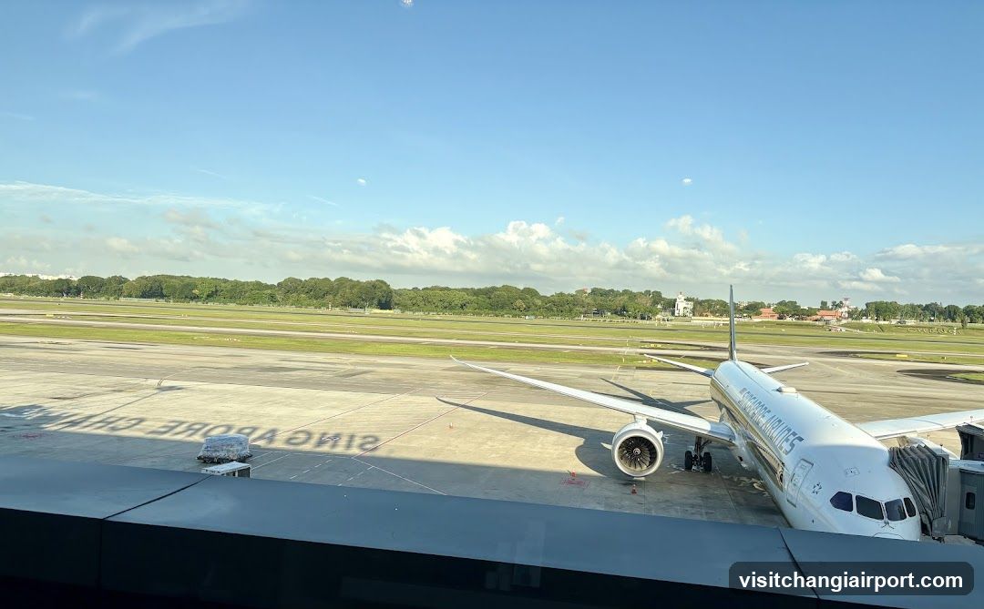 Airport Tarmac View