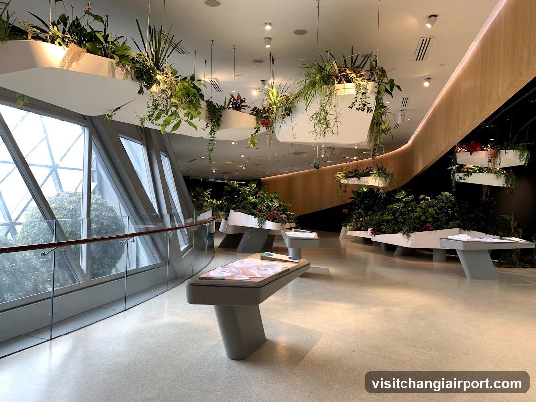 Changi Experience Studio