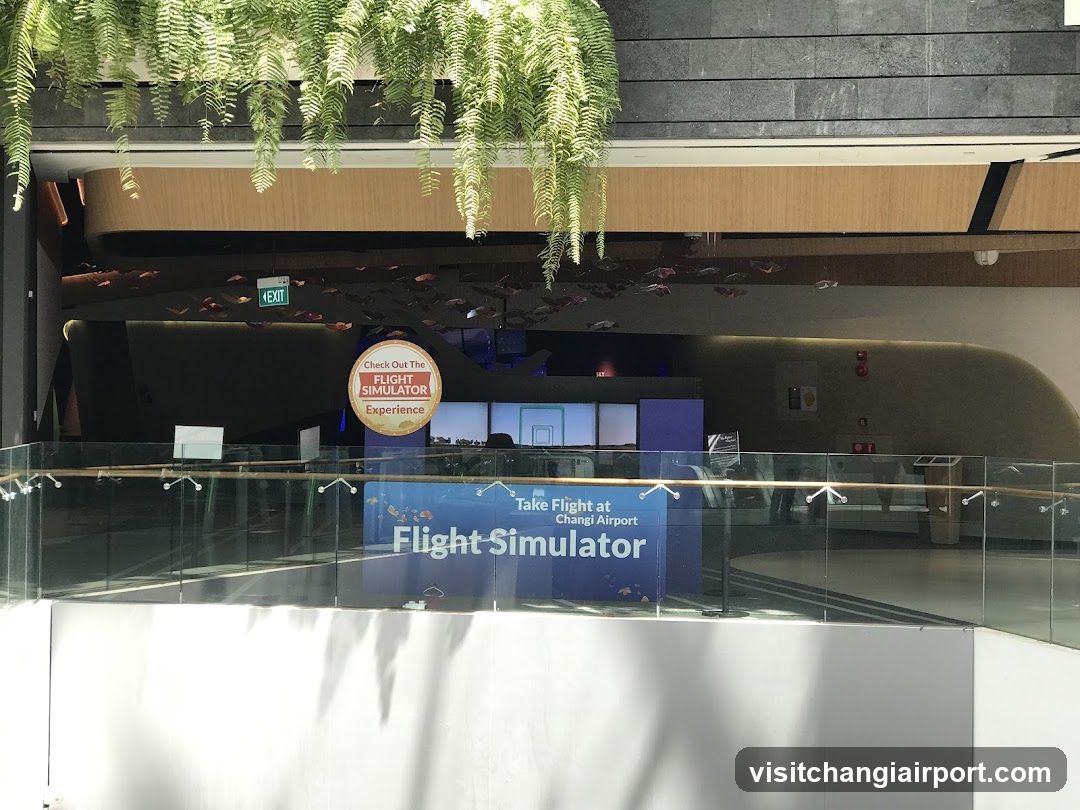 Flight Simulator Experience at Changi Airport