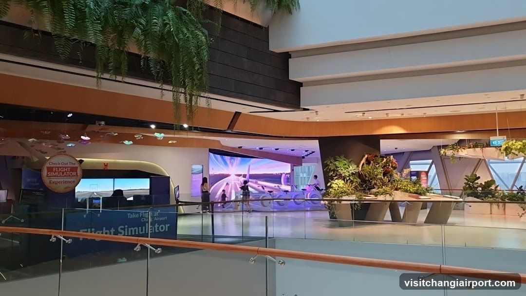 Flight Simulator Experience
