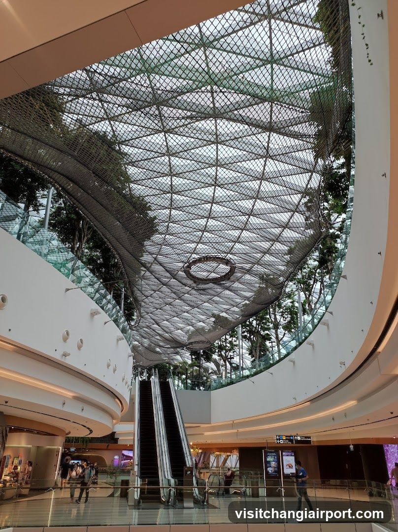 Shopping Mall Interior with Skylight