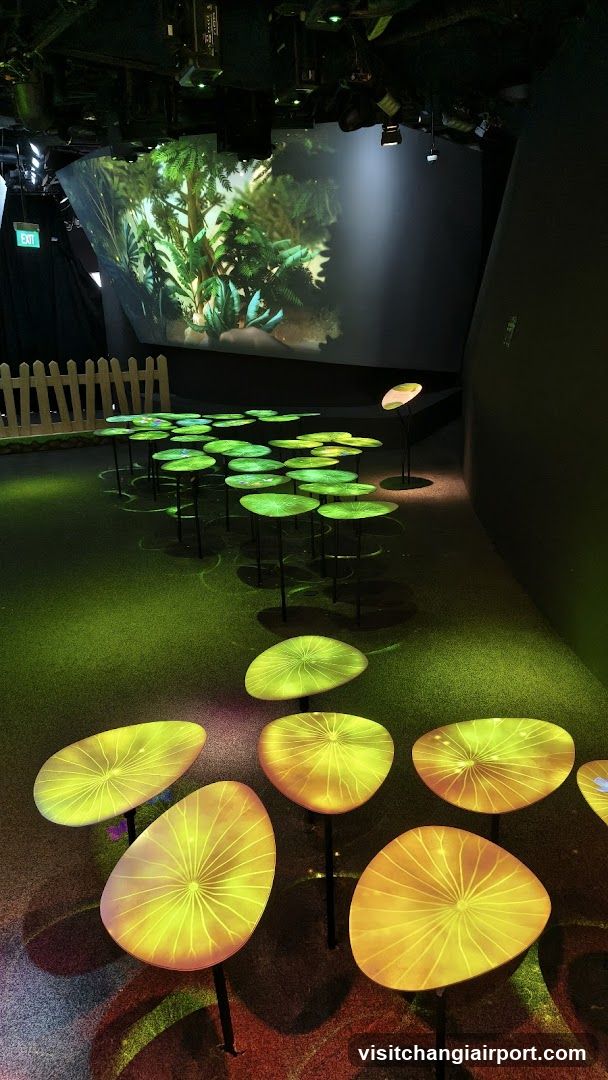 Interactive Exhibition Space with Lotus Theme