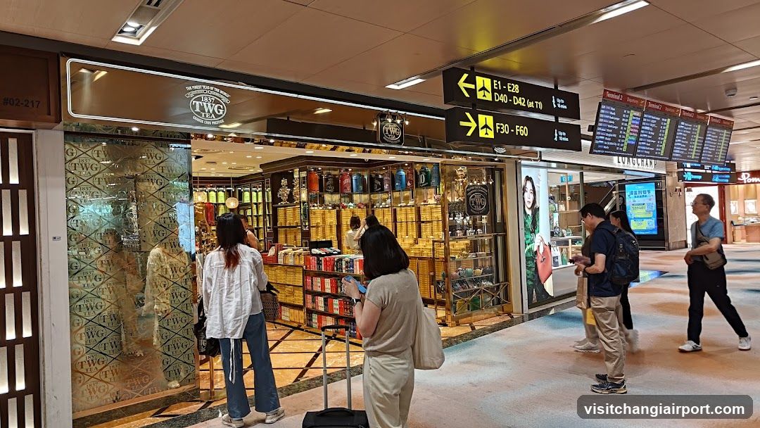 Airport Terminal Interior