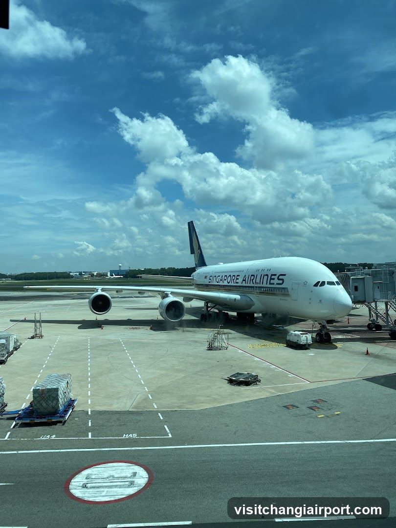 Singapore Airlines Aircraft at Airport Gate