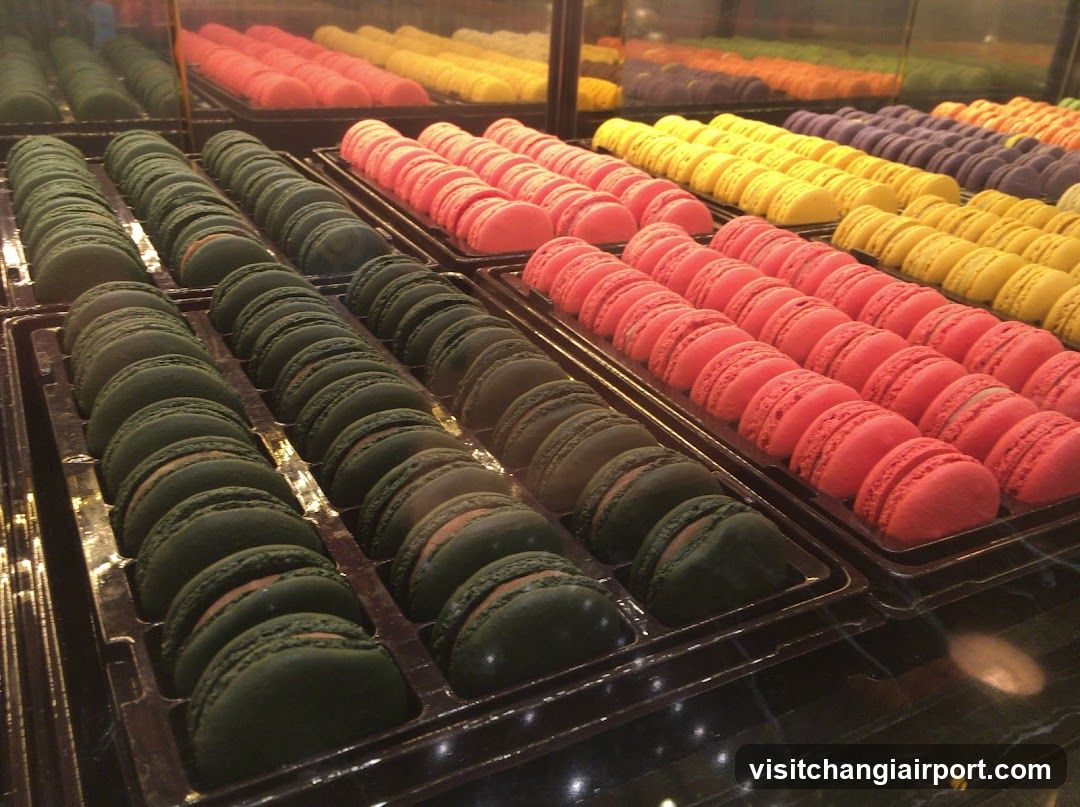 Macaron Display Case