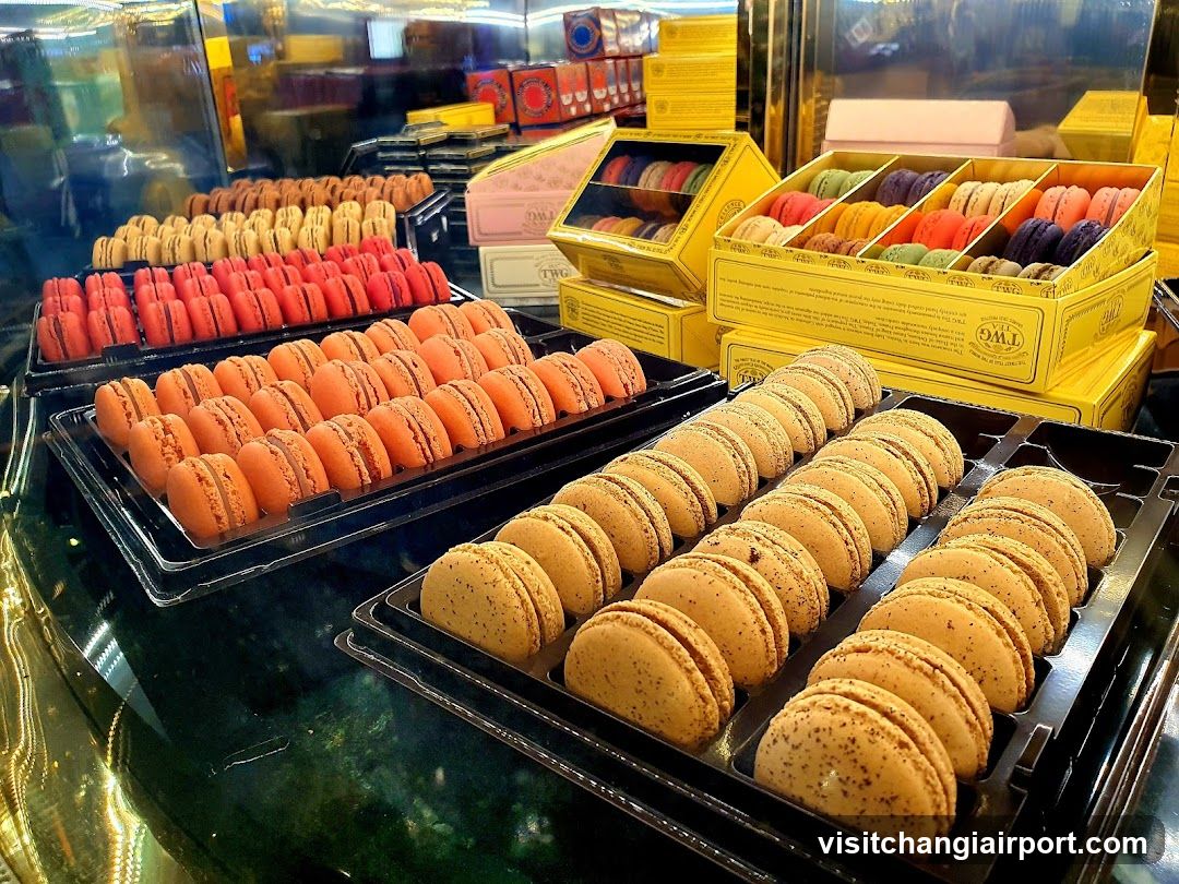 Macaron Display Case