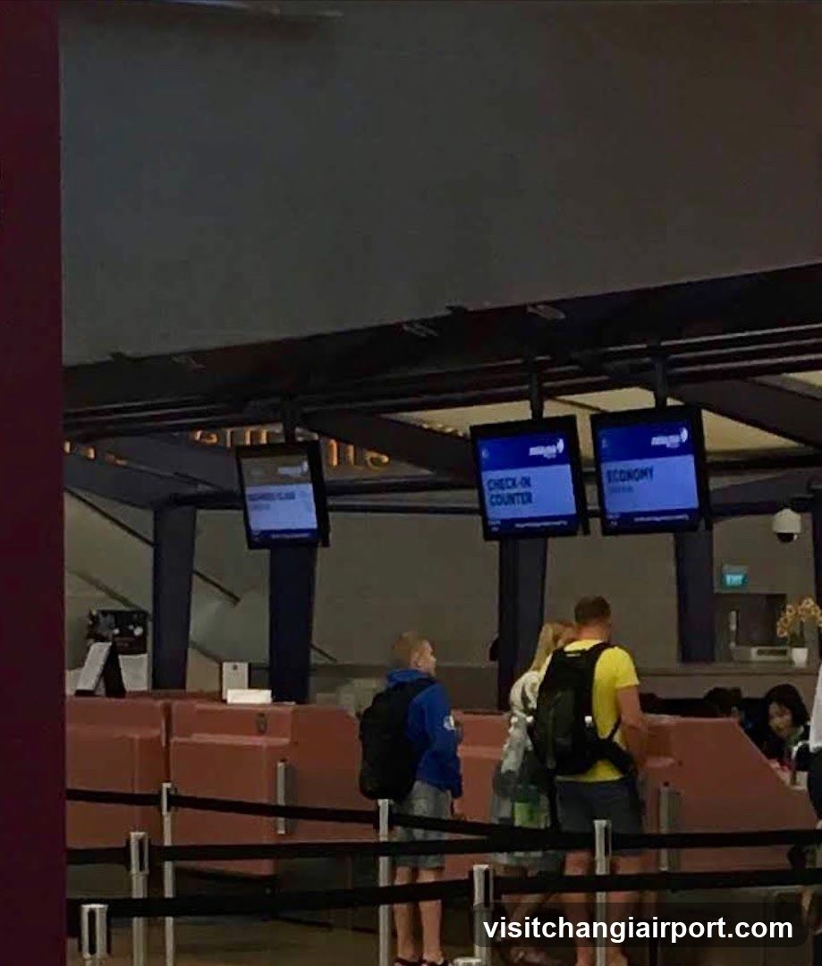 Airport Check-in Area