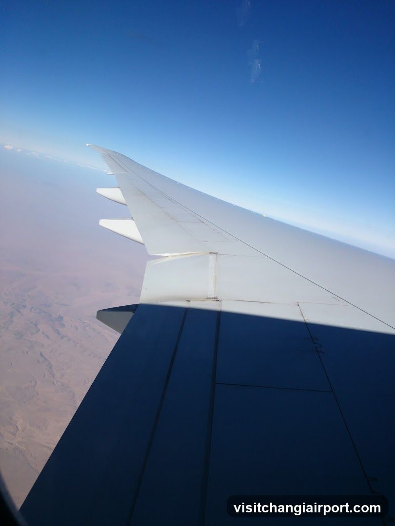 Aircraft Wing View from Window