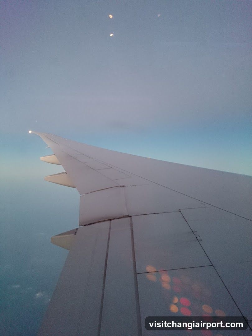 Aircraft wing at dusk