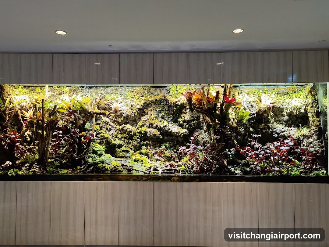 Indoor Terrarium Display
