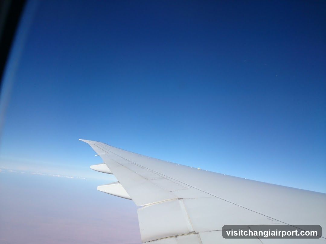 Airplane Wing View