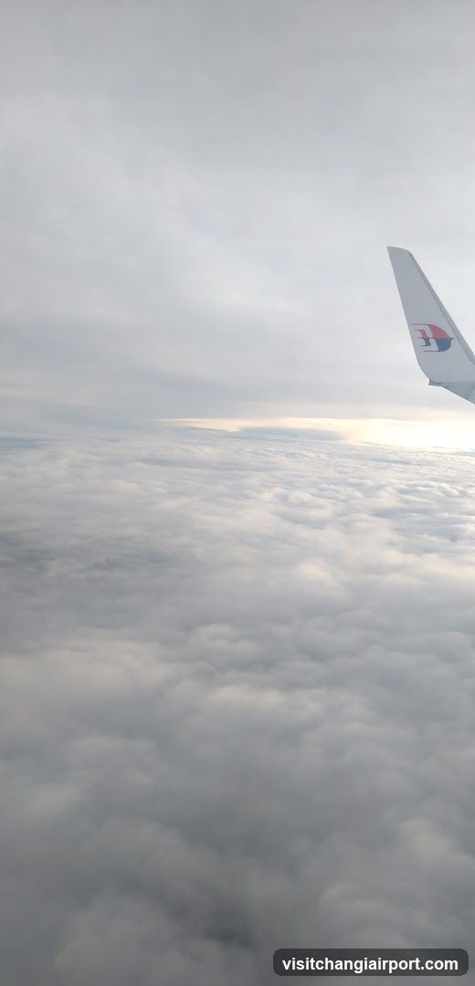 Aerial view from airplane window