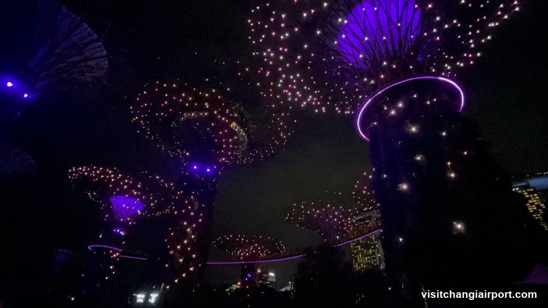 Gardens by the Bay Supertrees at Night