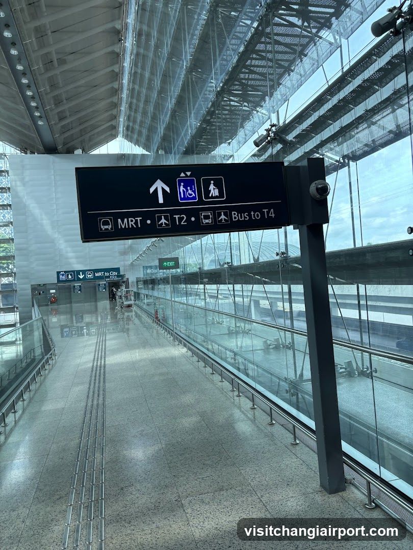 Airport Terminal Interior
