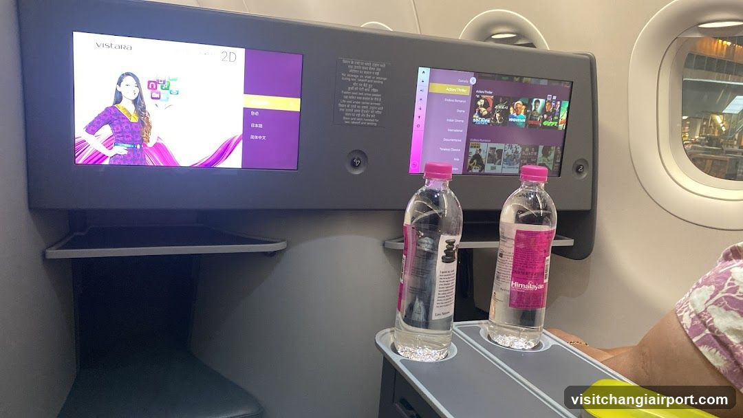 Aircraft Seat Entertainment System